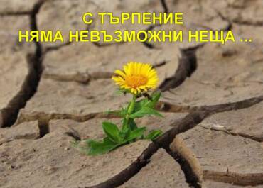 В Деня на търпението
